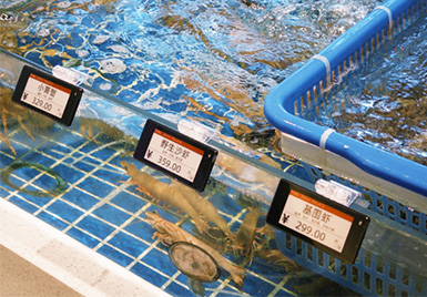 明州府&云里物里 | 餐饮前厅的“智能管家”，让每道菜都透明可见